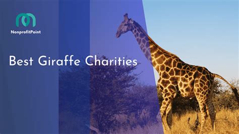9 Best Philadelphia Charities to Donate to in 2023 .